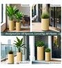CILIN TALL Beige 30 Inch German Polymer Round Plant Container
