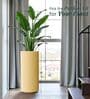 CILIN TALL Beige 30 Inch German Polymer Round Plant Container