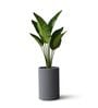 CILIN TALL Grey 18 Inch German Polymer Round Plant Container