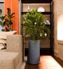 CILIN TALL Grey 24 Inch German Polymer Round Plant Container