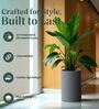 CILIN TALL Grey 24 Inch German Polymer Round Plant Container