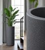 CILIN TALL Grey 30 Inch German Polymer Round Plant Container