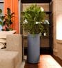 CILIN TALL Grey 30 Inch German Polymer Round Plant Container