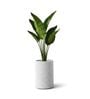 CILIN TALL Marble White 18 Inch German Polymer Round Plant Container
