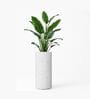 CILIN TALL Marble White 30 Inch German Polymer Round Plant Container