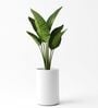 CILIN TALL White 18 Inch German Polymer Round Plant Container