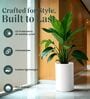 CILIN TALL White 24 Inch German Polymer Round Plant Container