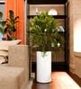 CILIN TALL White 24 Inch German Polymer Round Plant Container