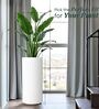 CILIN TALL White 30 Inch German Polymer Round Plant Container