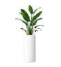 CILIN TALL White 30 Inch German Polymer Round Plant Container