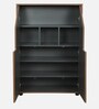 Cindy Shoe Cabinet In Natural Walnut Colour