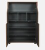 Cindy Shoe Cabinet In Natural Walnut Colour