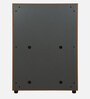 Cindy Shoe Cabinet In Natural Walnut Colour