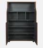 Cindy Shoe Cabinet In Natural Walnut Colour