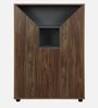 Cindy Shoe Cabinet In Natural Walnut Colour
