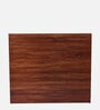 Cindy Shoe Cabinet In Tan Colour
