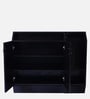 Cindy Shoe Cabinet In Wenge Colour