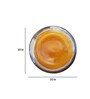 Cinnamon 10 Inch Orange Ceramic (Set of 2) Dinner Plate