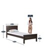 Cipher Solid Wood Single Bed in Espresso Finish