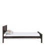 Cipher Solid Wood Single Bed in Espresso Finish