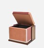 Cipher Solid Wood Ottoman In Peach Finish With Storage