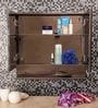 Cipla Plast Double Door Stainless Steel Bathroom Cabinet