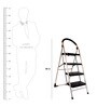 Cipla Plast Folding Stainless Steel Ladder with Chrome finish
