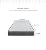 Altus P 6 Inches Single Size (72x36) Pocket Spring & PU Foam Mattress