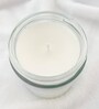 Citrus Scented Christmas Candle Fresh Holiday Aroma in Stylish Glass Jar for Gifting and D cor