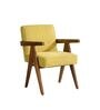 Civic Arm Chair In Zest Lime Colour