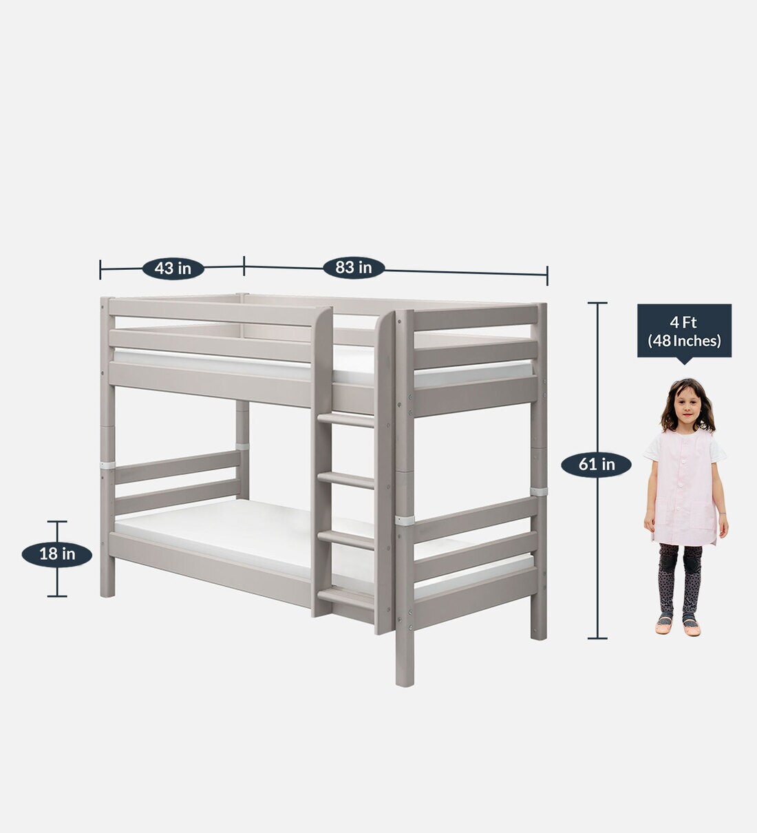 Buy Classic Solid Wood Bunk Bed in Grey Finish by Flexa Online Bunk