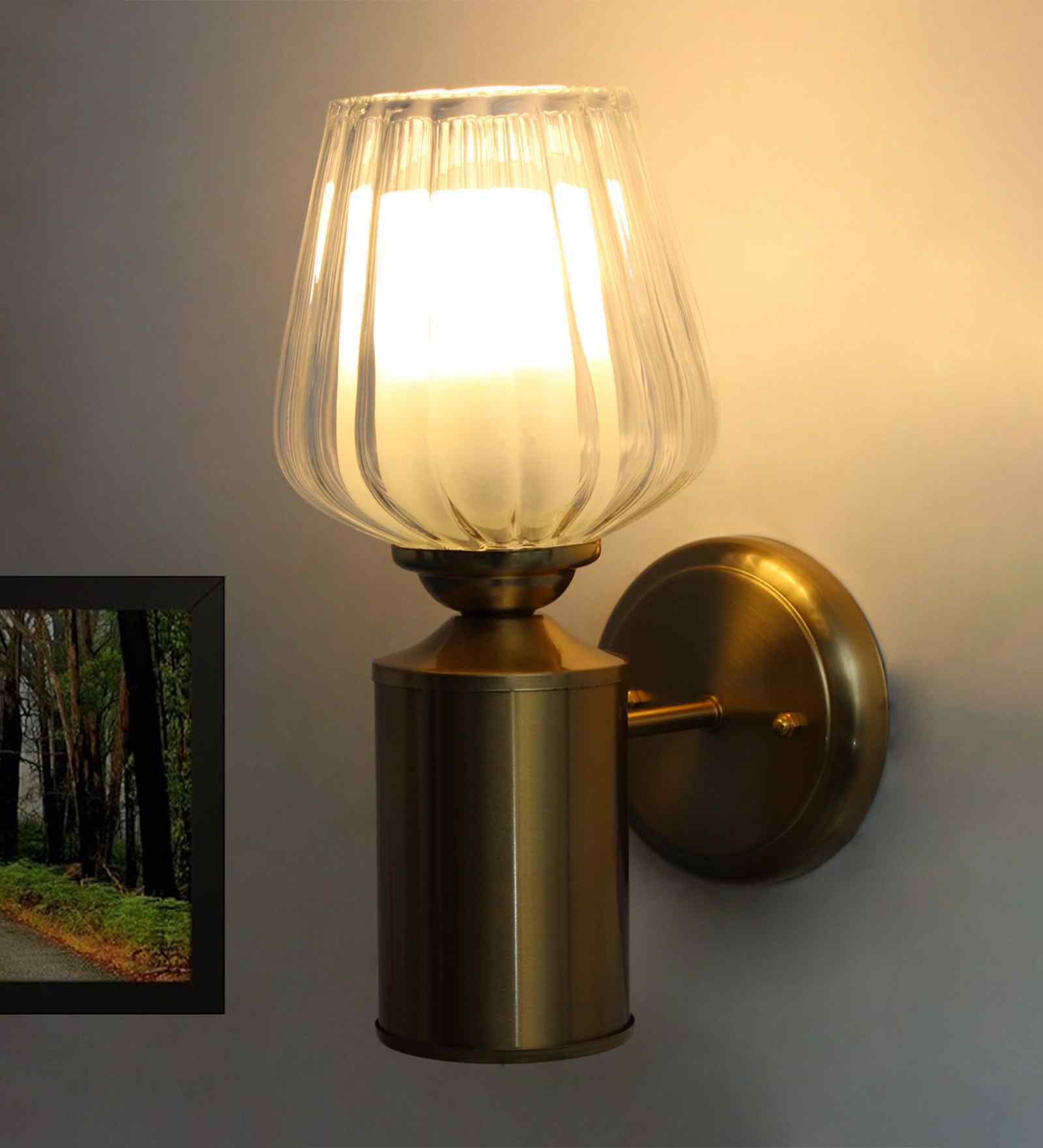 Clear Tulip Glass Brass Wall Mounting Light