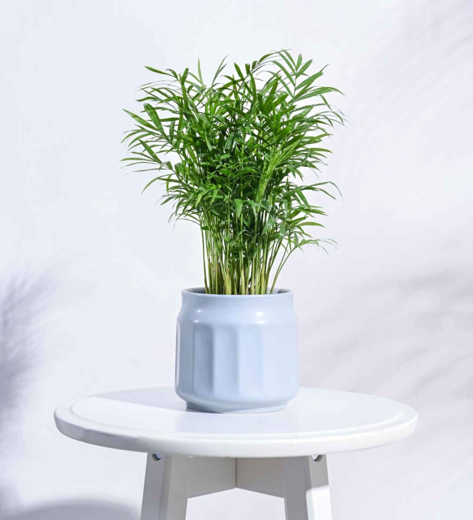 Cloud Grey Ceramic Desk Pot