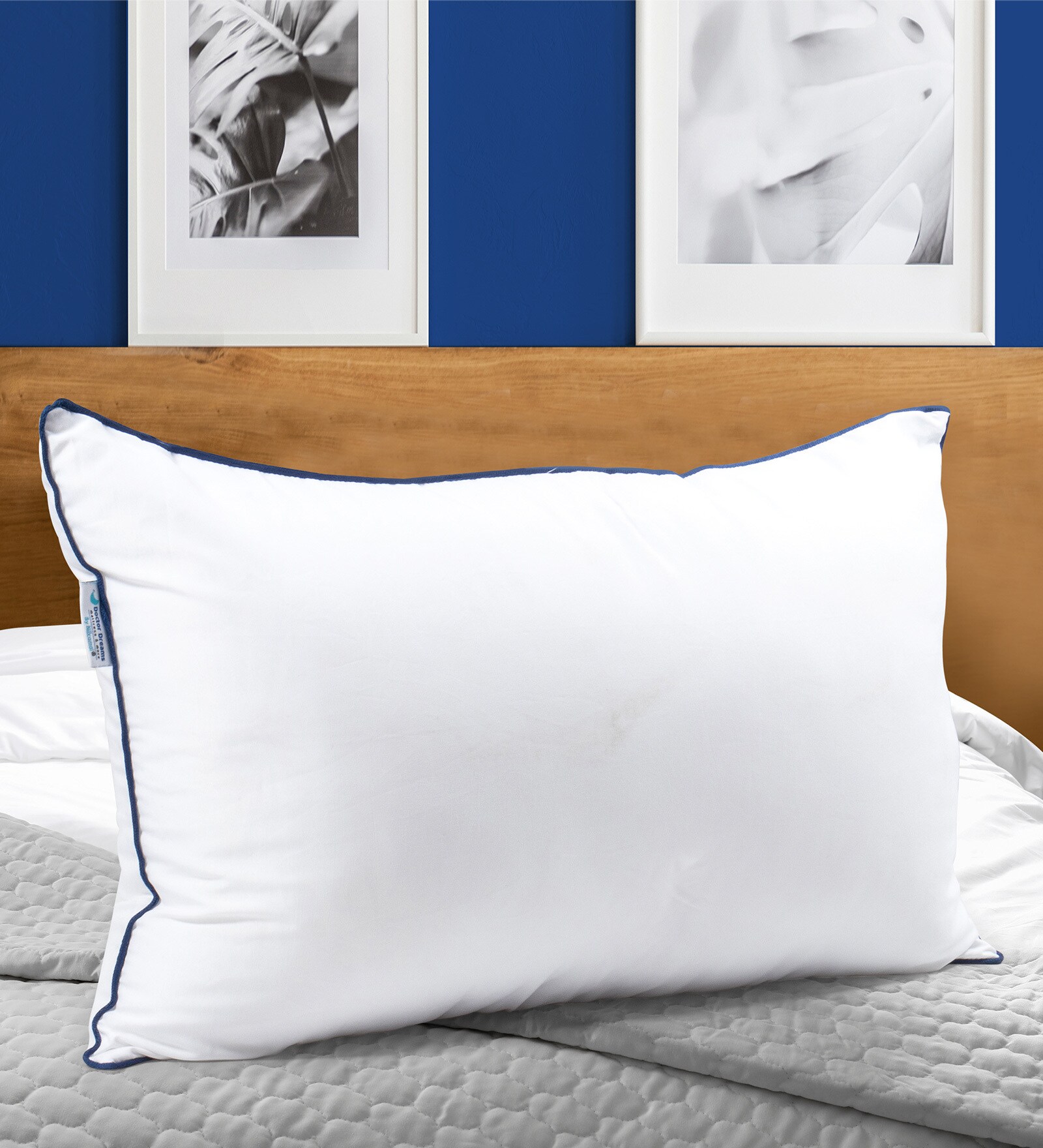 Cloud Microfiber 27 x 17 Inch Pillow