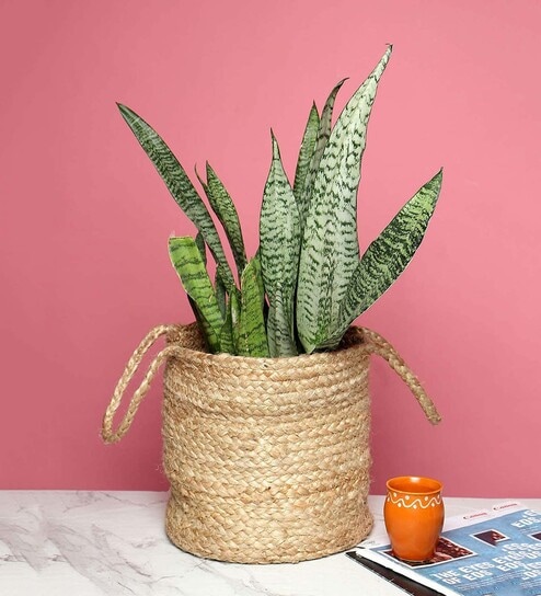 (1Pc) Beige Jute Handwoven Multipurpose Planter & Storage Basket