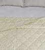 Cream Solid 180 TC Microfibre Double Bed Cover