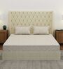 Beige Abstract 180 TC Polyester Double Size Bedsheet With 2 Pillow Covers