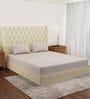 Beige Abstract 180 TC Polyester Double Size Bedsheet With 2 Pillow Covers