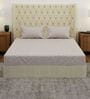 Beige Abstract 180 TC Polyester Double Size Bedsheet With 2 Pillow Covers