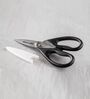 Classic Black Metal Shears
