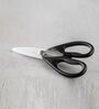 Classic Black Metal Shears