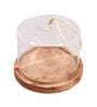 Doomed Brown Glass & MDF Cloche