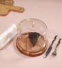 Doomed Brown Glass & MDF Cloche