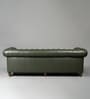 Classic Chesterfield Leather 3 Seater Sofa In Olive Green Colour Classic Chesterfield Leather 3 Seater Sofa In Olive Green Colour