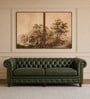 Classic Chesterfield Leather 3 Seater Sofa In Olive Green Colour Classic Chesterfield Leather 3 Seater Sofa In Olive Green Colour