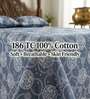 Classic Grey Grace Double 186 TC Cotton Bedsheet With 2 Matching Pillow Covers