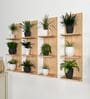 Classic Wooden Vertical Wall Shelf with Light Oak Finish Set of 4