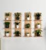 Classic Wooden Vertical Wall Shelf with Light Oak Finish Set of 4