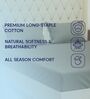 Brown Solid 210 TC Cotton King Sized Bedsheet With 2 Pillow Covers