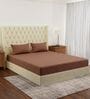 Brown Solid 210 TC Cotton King Sized Bedsheet With 2 Pillow Covers
